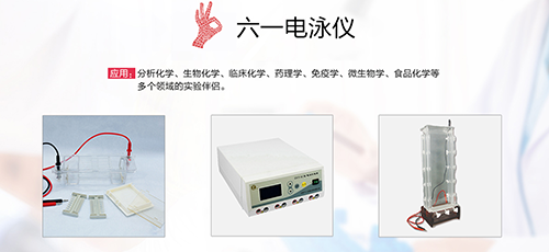 六一电泳仪.png 六一电泳仪.png